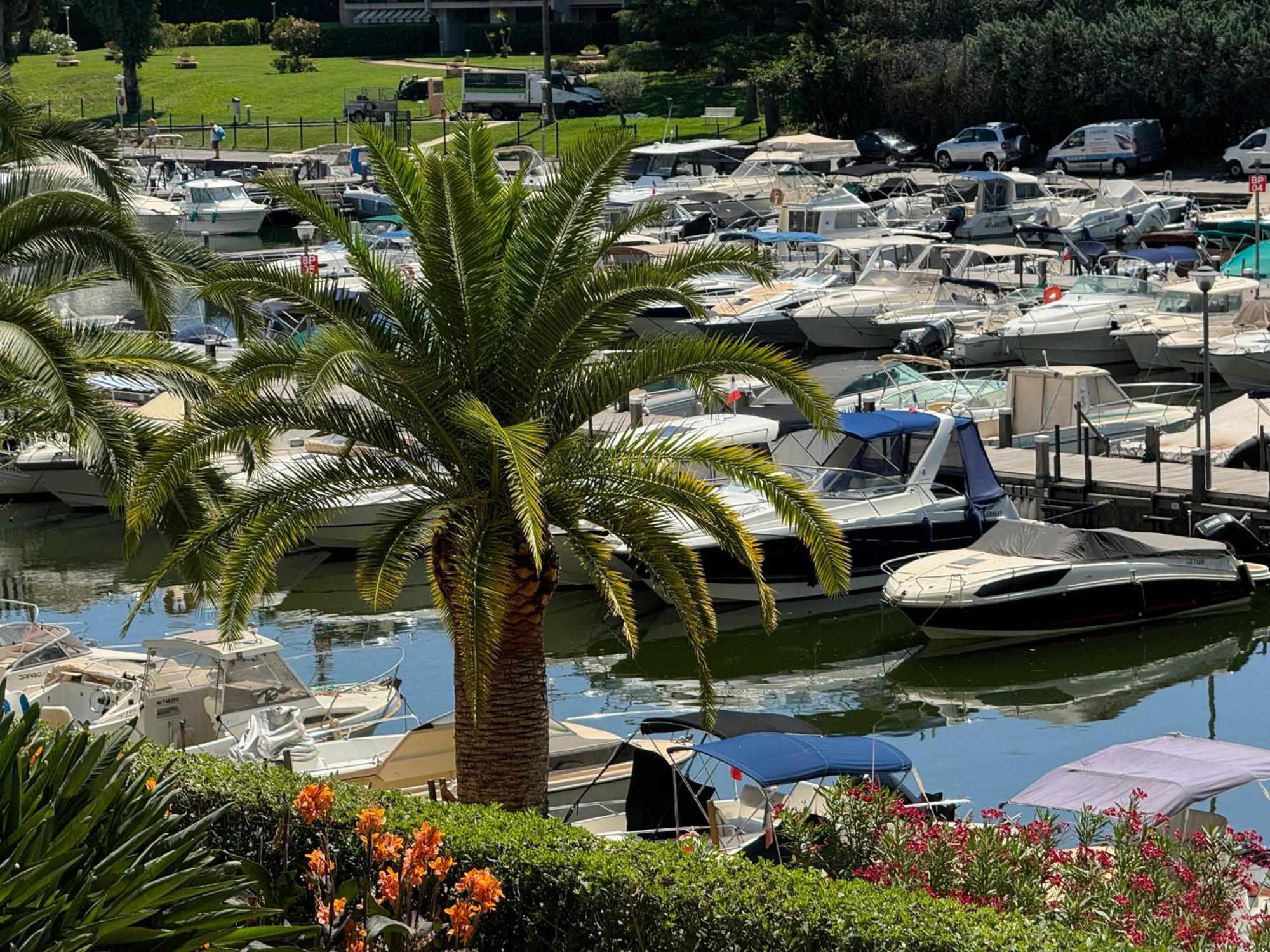 My Resid Appart Cannes Marina Vue Piscine Mandelieu Kültér fotó